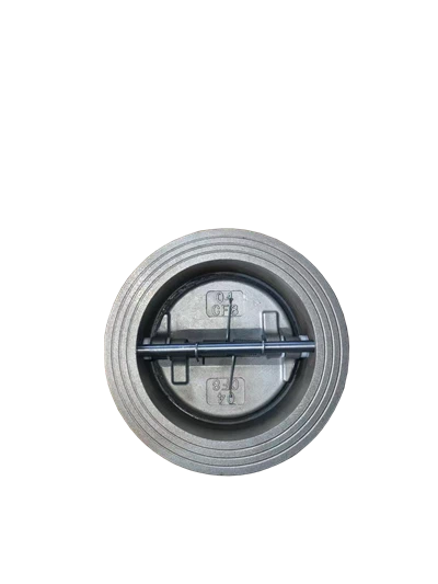 سٹینلیس سٹیل ڈبل ڈسک چیک والو